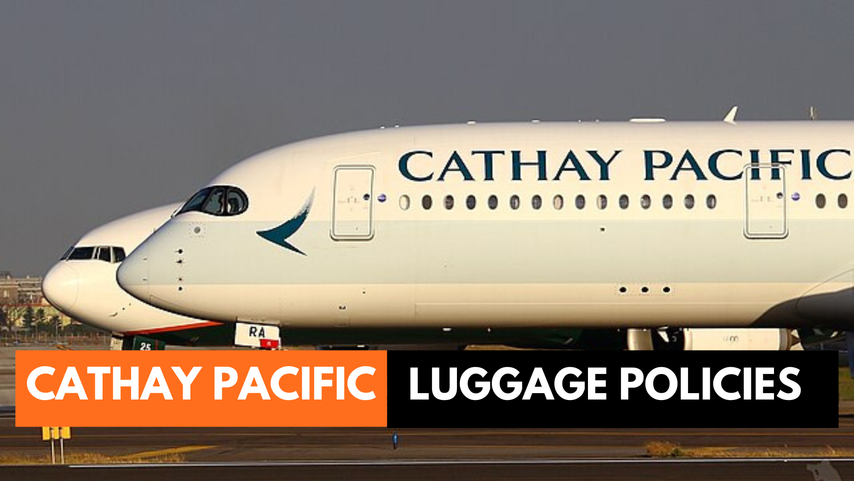 Cathay pacific baggage allowance 30kg online