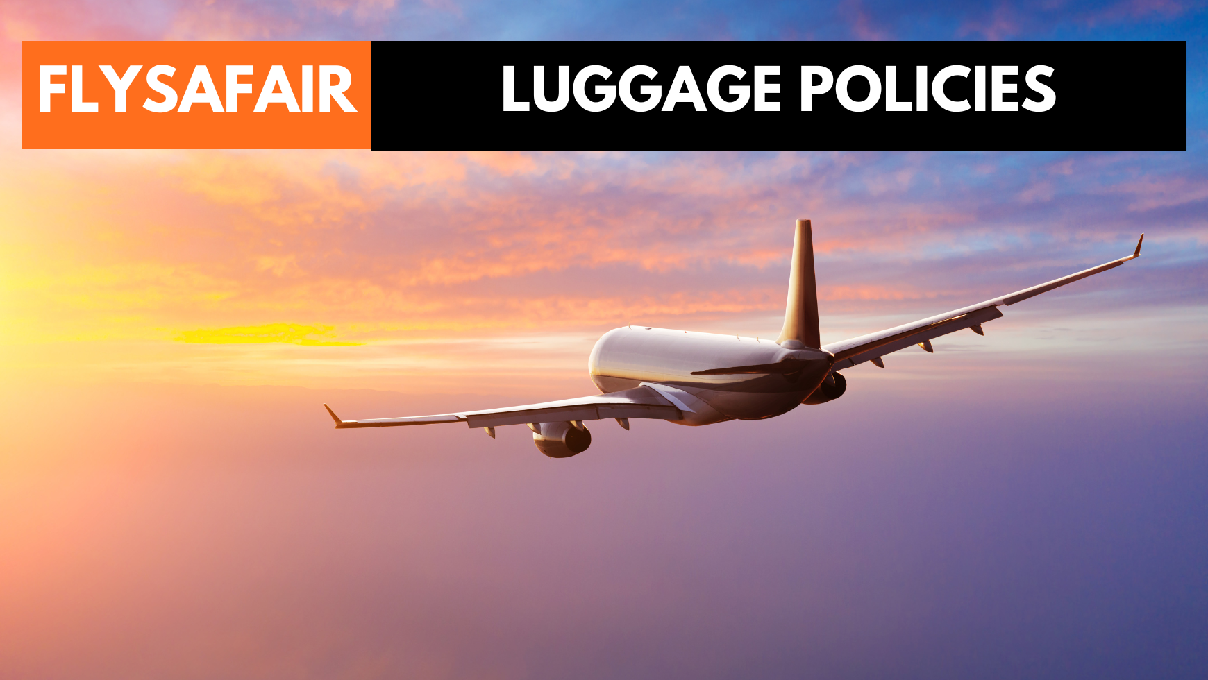 Flysafair check in luggage online