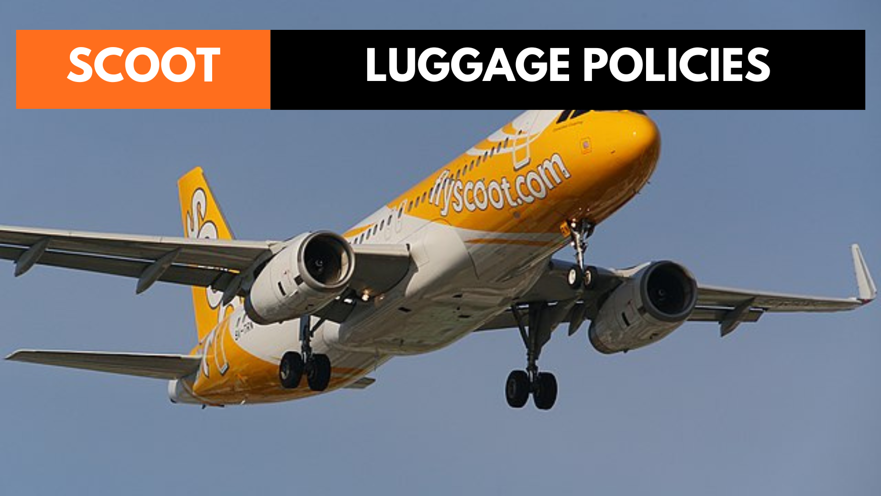 Scoot flight baggage on sale