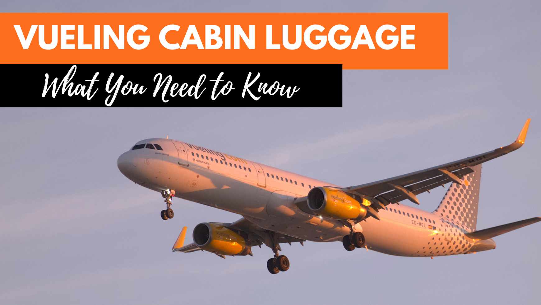 Shops baggage allowance on vueling airlines